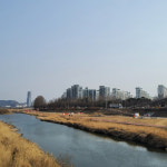갑천 산책로 동시 공사 시민 몸살