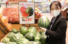 [사진뉴스]  롯데마트 대덕점, 당도선별 수박 맛보세요