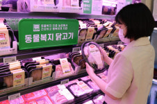 [사진뉴스] 롯데마트 대덕점, 중복 맞이 백숙용 닭고기 기획전