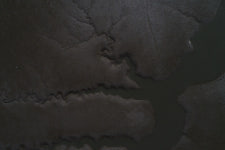 한국의 갯벌 유네스코 세계유산 등재