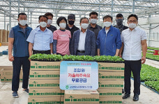 금왕농협, 배추육묘 무상 공급