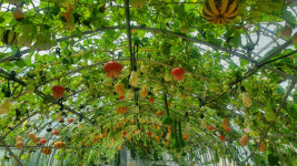 자연의 숨결 느끼며 힐링하세요