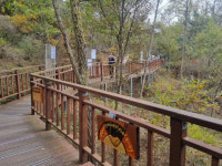 문인협회 홍성지부 가을전시회 개최