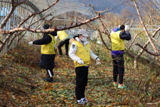 충북도립대학교 하반기 농촌 일손돕기 봉사활동