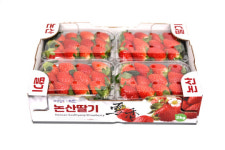 대진엿질금영농조합법인 | 논산딸기·신도안 물엿…"장터로 나오세요"