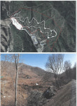 천안시 수목장림 조성사업 백지화 논란