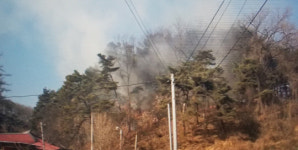 천안 목천읍 삼성리 야산서 불