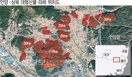 울산 송대리 산불로 주민 대피령, 화재 피해 확대와 대응 상황 관심 (79자)