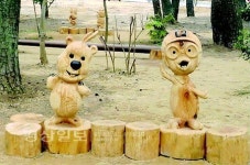 울산, 대왕암 놀이시설에 재선충 감염목 사용 소문