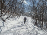 [막바지 눈산행]울산 근교 문수산에도 화려한 눈꽃 만발