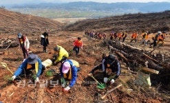 화마의 아픔 딛고 희망을 심는다