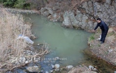 [현장&이슈]공사장서 넘친 흙탕물에 1급수 정자천 오염