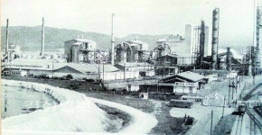 [판결로 본 울산의 격동기]영남화학, 공해로 폐농한 과수원에 3백여만원 배상
