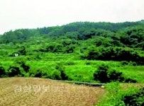 [돈되는 경매물건]울산시 울주군 상북면 소호리 681외 3필지