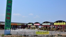[울산 신유통 지도를 그린다]대형마트 낀 대로변에 꽃 판매점 11곳 성업