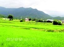 [돈되는 경매물건]울산시 울주군 상북면 거리 169 외 1필지