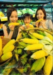 황금연휴·여름특수 잡아라, 울산지역 유통가 마케팅 본격화