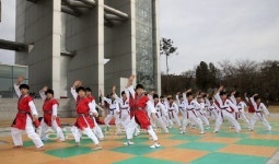 영천 초·중·고 학생 50여명...6월 한달간 아리랑 태무 공연