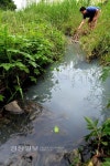 울산 삼호동 오폐수가 오수로 통해 태화강 유입