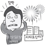 한솔근린공원 불꽃축제...폭죽에 놀란시민 문의소동