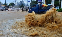 울산도 호우 피해 속출