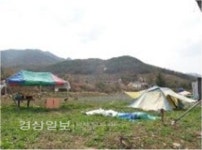 [돈되는 경매물건]울산시 울주군 상북면 등억리 산 51-19(임야)