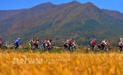 경상일보 주관 제6회 영남알프스 전국 MTB챌린지 성료