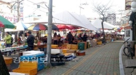 어이없는 전통시장 현대화…빈 점포만 수두룩