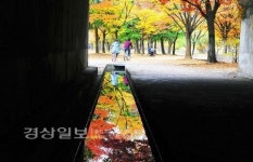 울산사진써클연합회, 합동전시회