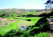 [돈되는 경매물건]울산시 울주군 상북면 지내리 568(농지)