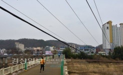 [현장&이슈]구 삼호교 옆 선로정비…한전 외면에 효과 반감