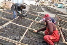 원자력발전소 건설로 사라질 신리마을의 삶, 영상에 담다