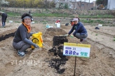 중앙농협 주말농장 개장…150명 영농체험