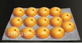 대명산업, 비용·선도 개선된 과일포장제 특허출원