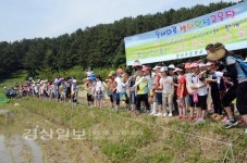 울주군 범서초등학교, 생태인성교육장에서 우렁이와 미꾸라지 풀어주는 행사 가져