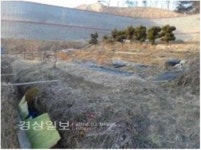 [돈되는 경매물건]울산시 울주군 온산읍 삼평리 515 2(농지)