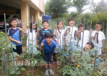 울산 중구 평산초등학교, 내가 키운 호박전 day 운영