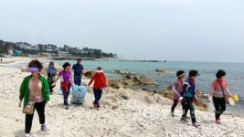 울산 동구 남목3동 통장회, 주전 및 쇠평마을 일대에서 환경정화 활동