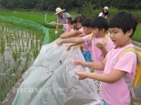 울주군 범서초등학교 병설유치원, 원아들과 친환경 논 조성행사 가져