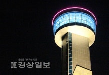 미완성 울산대교 전망대, 편의시설 없이 일부만 오픈