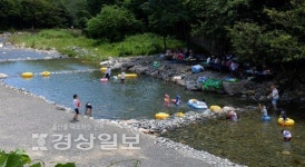 무법천지로 변한 영남알프스의 작괘천, 관광명소 맞나
