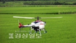 울산 남구청 고래여행선, 무인헬기로 고래 찾는다