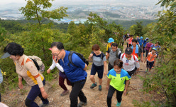 가을 정취 느껴 보아요 울산 어울길 걷기 성황