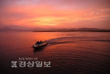 [제17회 순천만 갈대축제]갈대와 음악, 건강한 먹거리가 있는 생명의 땅으로 초대