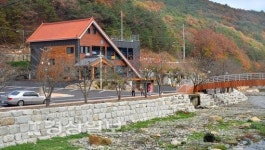 [현장&이슈]작괘천 불법 음식점, 울주군 전면전 선언