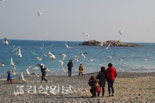 [Week & Free]더 가까워진 경주·감포 나들이길