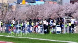 울산 태화동 십리대밭 먹거리단지 보행환경 개선