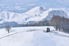 [2018동계올림픽 개최지 평창]천혜의 자연과 동해 조망 힐링 명소