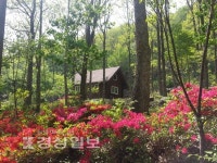 신불산폭포자연휴양림, 모노레일 타고 즐긴다