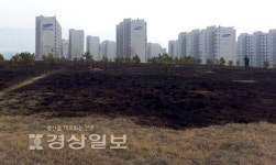 울산지역 대표적인 철기문화 유적지 달천철장 지역민 무관심에 수난